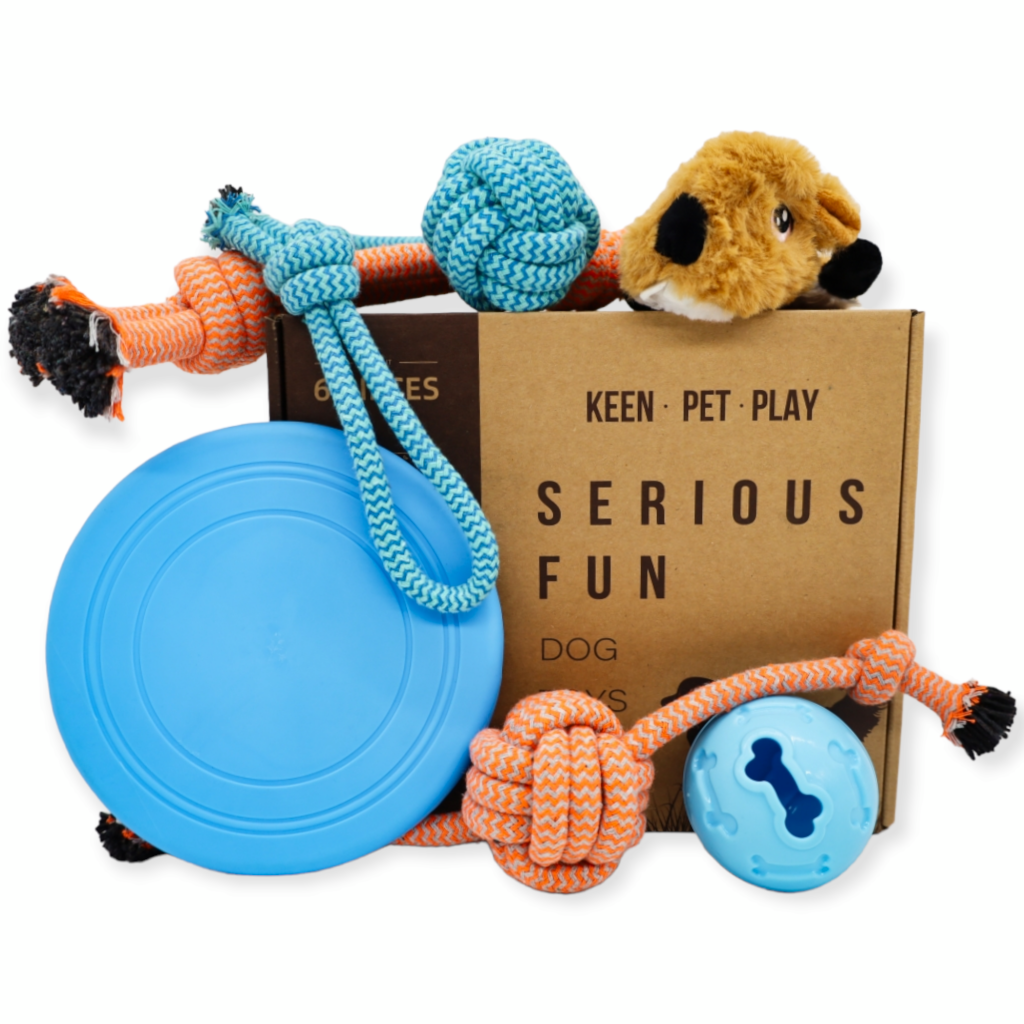 Discovering the Joy of Dog Toys – The Dogs Stuff