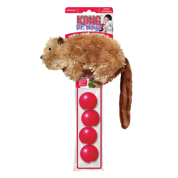 Kong beaver clearance dog toy