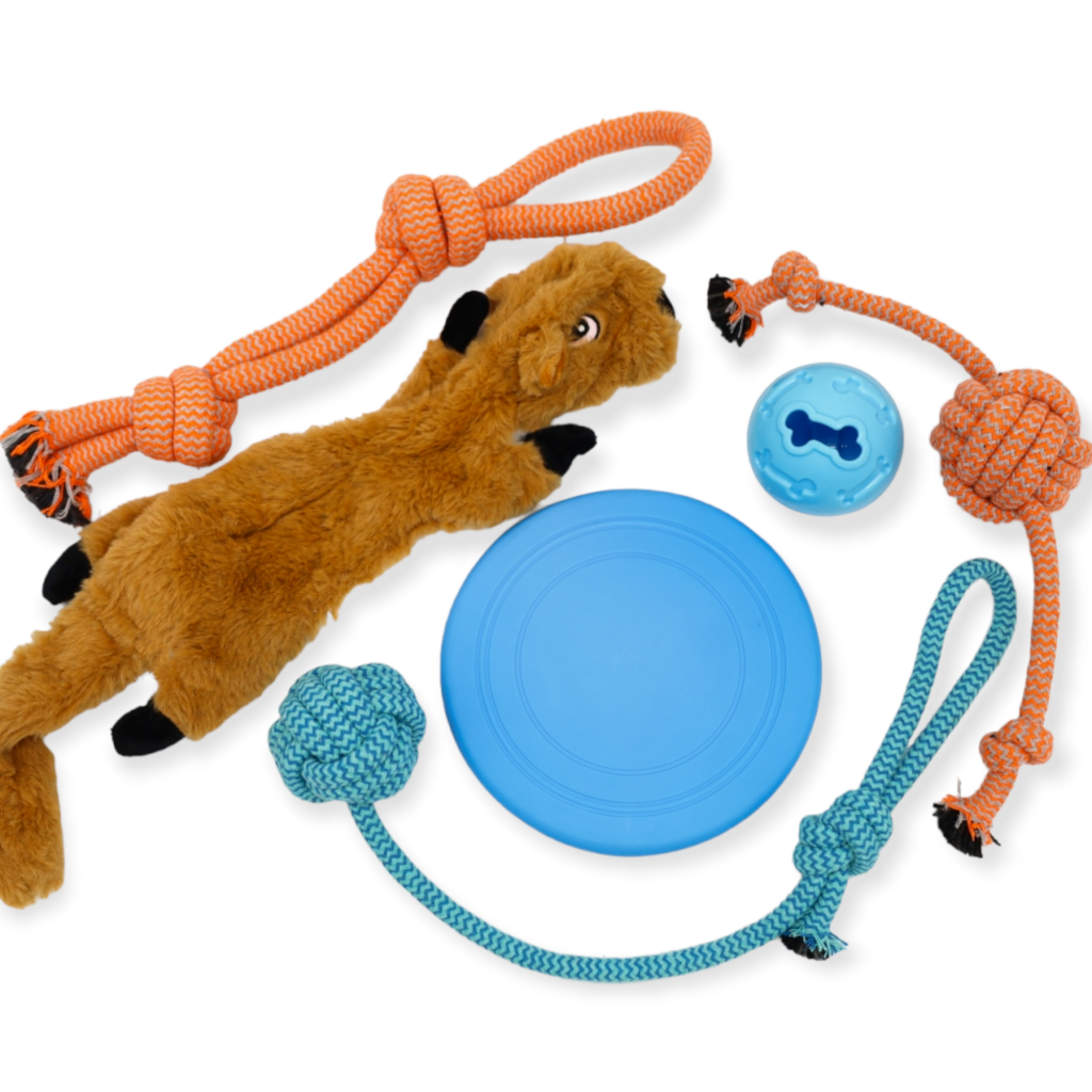 6 Boredom Buster Toys for Dogs