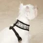 Reflective Paw Print Harness - 3 Sizes