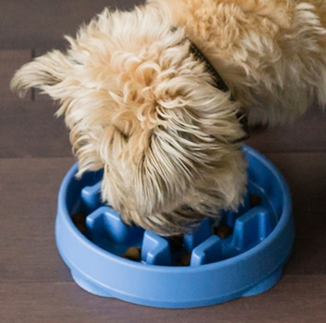 Outward Hound Fun Feeder Interactive Dog Bowl, Purple, Large