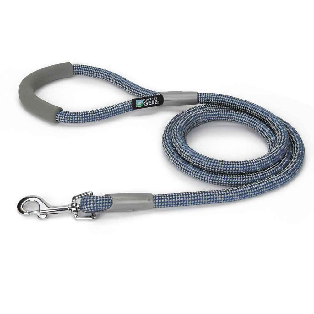 blue dog leash