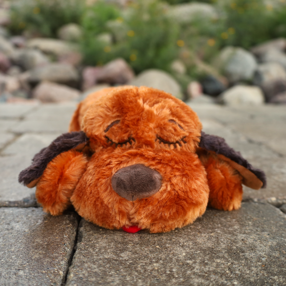 https://www.littlepawsunleashed.com/cdn/shop/products/brown-snuggle-puppy.png?v=1662600180&width=1445
